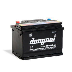 ac-quy-kho-CMF-DIN45-LBN-12V-45Ah-1
