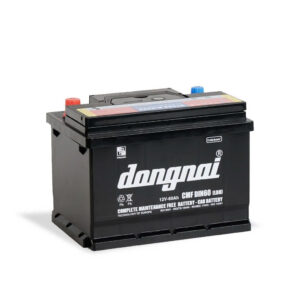 ac-quy-kho-CMF-DIN60-LBN-12V-60Ah-2